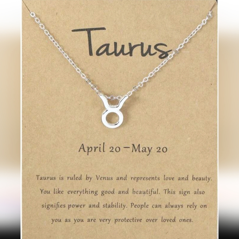 Silver Zodiac Necklace
